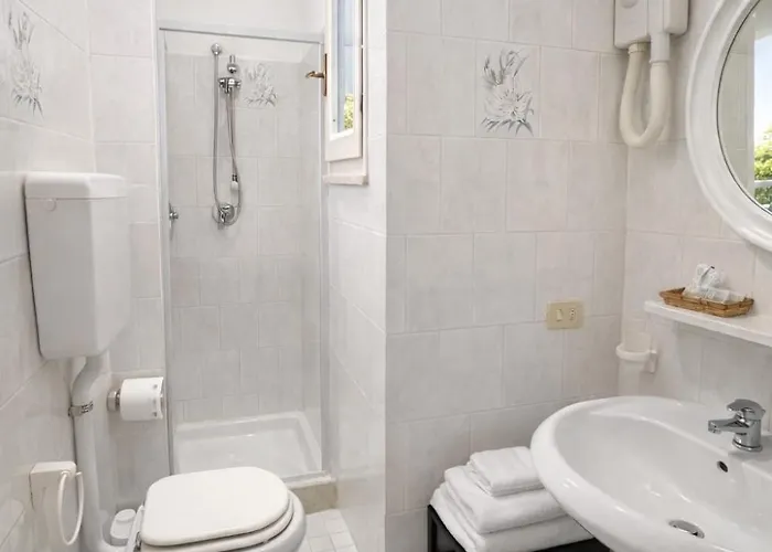 Sasselli Dipendenza Zamagna Cesenatico