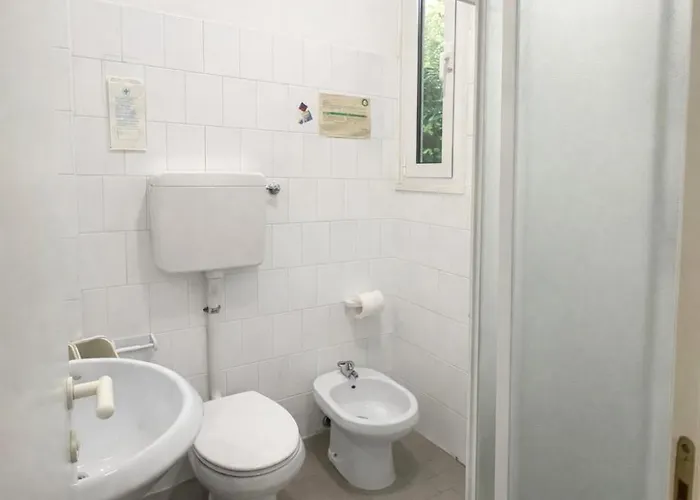 Sasselli Dipendenza Zamagna